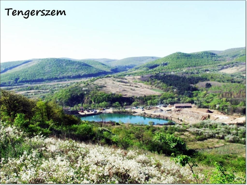 Benyei Fogado Panzio Es Etterem Bed & Breakfast Erdobenye Exterior photo
